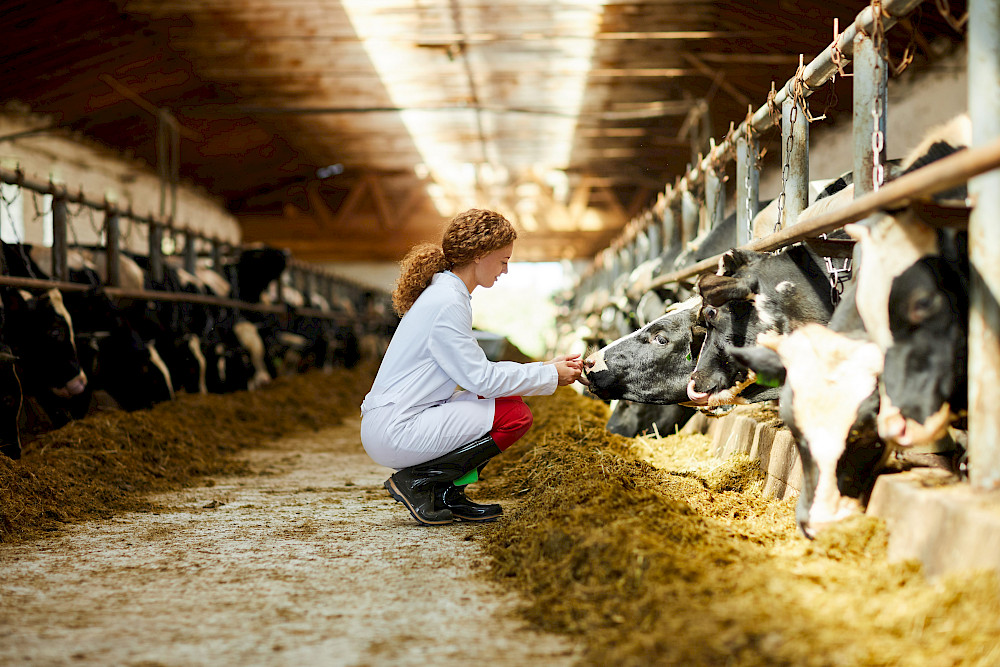 Länsveterinär - Regionförvaltningsverket i Västra och Inre Finland